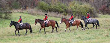 Locust Hill Hunter Pace