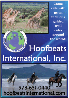 HoofbeatsInternational